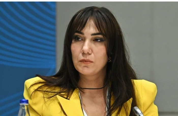 azerbaydzhan-naznachil-novogo-posla-v-vengrii
