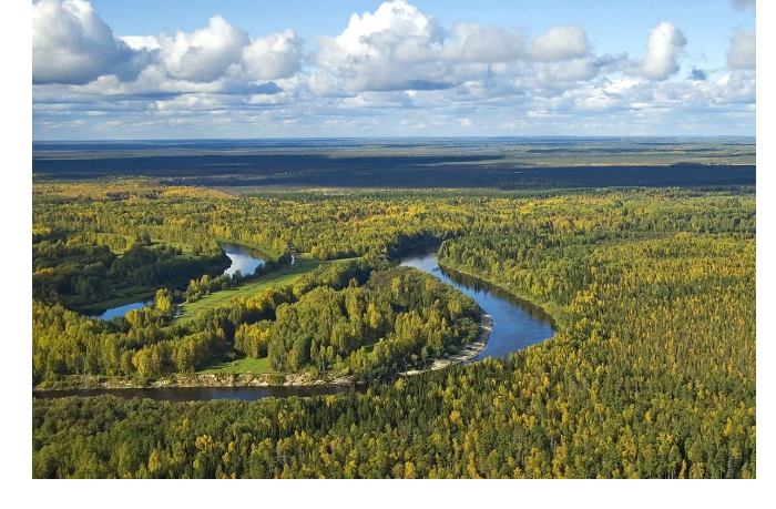 sibir-mozhet-prevratitsya-v-sakharu-cherez-70-let