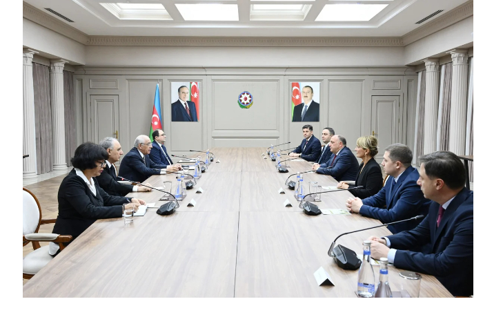 azerbaydzhan-i-gruziya-namereny-ukreplyat-sotrudnichestvo-v-borbe-s-transgranichnoy-prestupnostyu