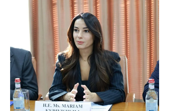 ministr-gruziya-privetstvuet-investitsii-azerbaydzhana-v-stroitelstvo-porta-anakliya