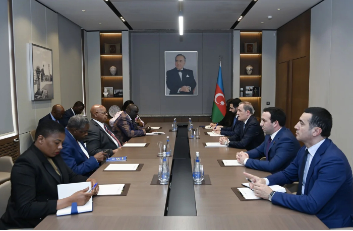 dzheykhun-bayramov-obsudil-s-delegatsiey-zimbabve-razvitie-dvustoronnego-sotrudnichestva