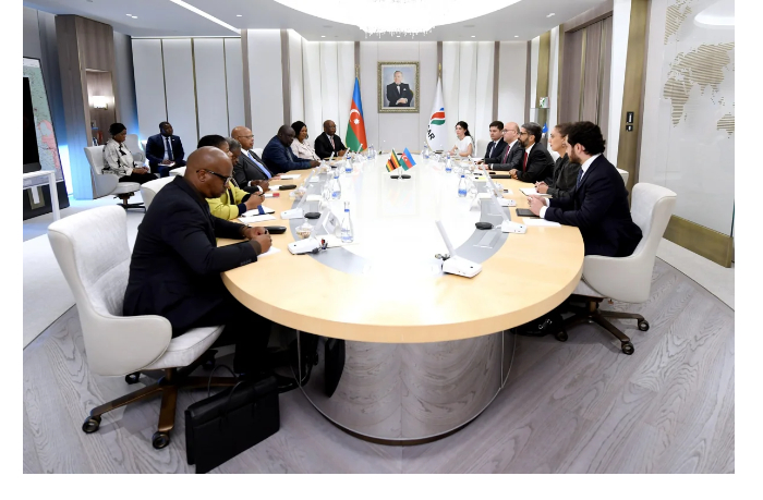 socar-obsudil-energosotrudnichestvo-s-natsionalnoy-assambleey-zimbabve