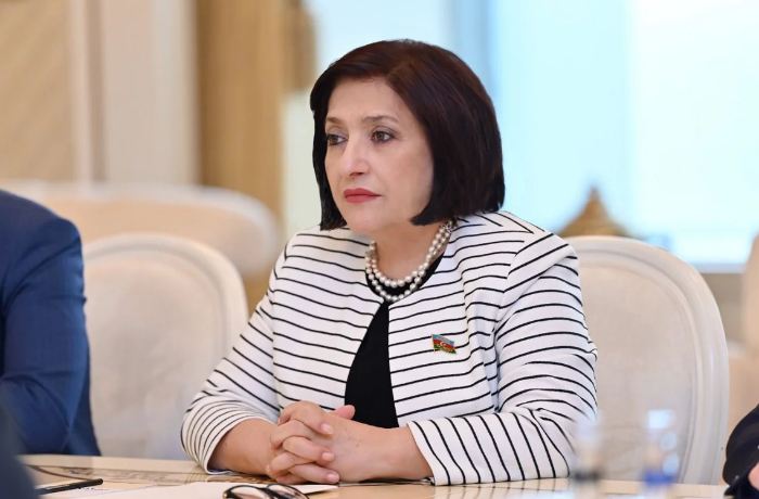 sakhiba-gafarova-vooruzhennye-konflikty-ostavlyayut-dolgosrochnyy-ekologicheskiy-sled