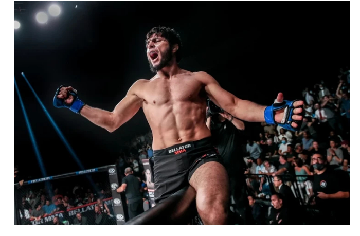 tofig-musaev-odolel-lyudovita-kleyna-na-turnire-ufc-fight-night