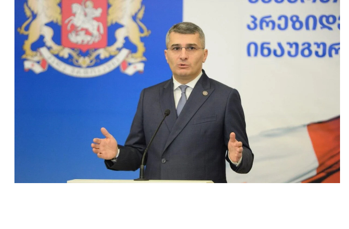vitse-premer-gruzii-obyavil-ob-ukhode-iz-politiki