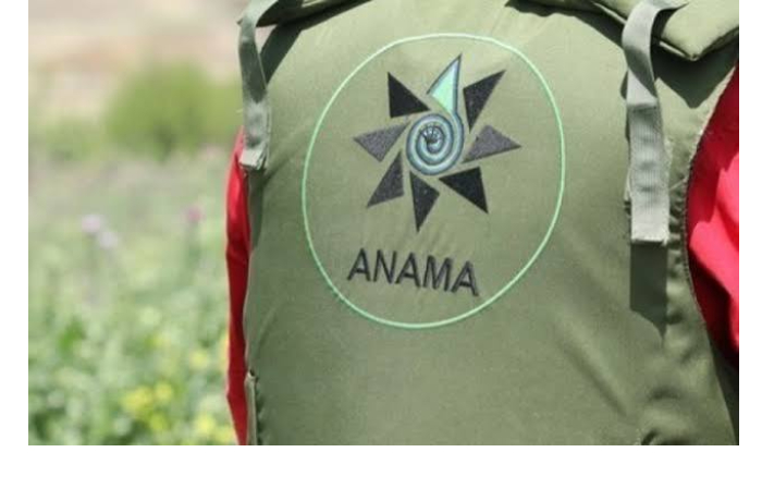 anama-za-minuvshuyu-nedelyu-ot-min-ochishcheno-bolee-2-tys-ga-territoriy