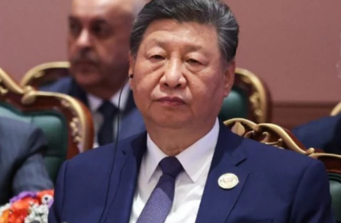 si-tszinpin-prizval-sozdat-globalnuyu-sistemu-regulirovaniya-ii