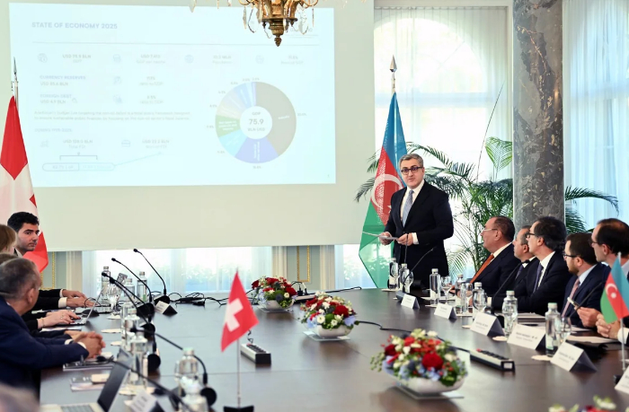 mikail-dzhabbarov-predstavil-investitsionnyy-potentsial-azerbaydzhana-na-biznes-forume-v-shveytsarii