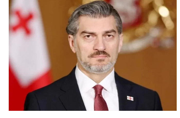 prezident-gruzii-obsudil-s-novym-poslom-v-azerbaydzhane-prioritety-yego-missii