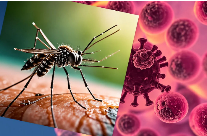 virus-zapadnogo-nila-rasprostranyaetsya-po-yevrope