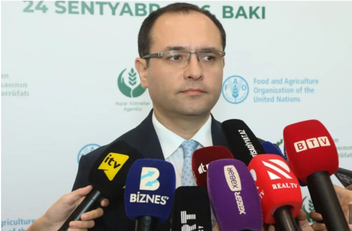 ministr-v-azerbaydzhane-uvelichat-subsidii-na-proizvodstvo-superelitnykh-i-elitnykh-semyan