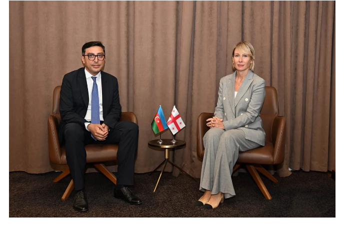azerbaydzhan-i-gruziya-obsudili-sotrudnichestvo-v-sfere-sporta