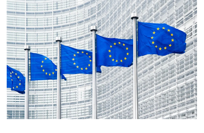 yes-planiruet-uzhestochit-migratsionnyy-pakt
