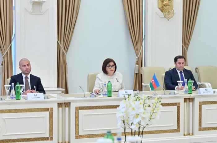 v-parlamente-gruzii-vysoko-otsenili-pozitsiyu-azerbaydzhana-po-territorialnoy-tselostnosti-strany