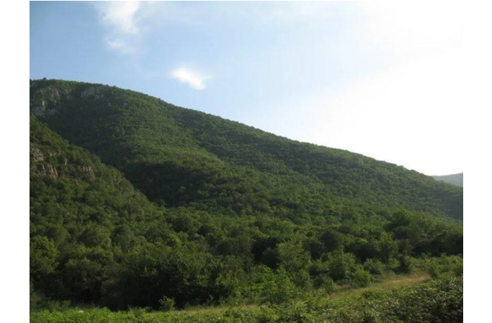 dokhody-zapovednikov-azerbaydzhana-za-8-mesyatsev-prevysili-4-mln-manatov
