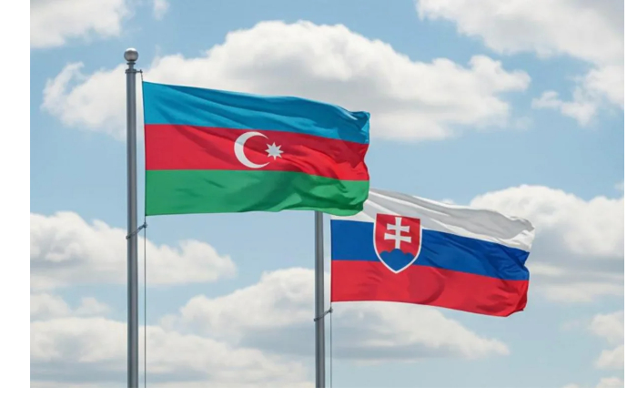 azerbaydzhan-i-slovakiya-utverdili-soglashenie-ob-obmene-sekretnoy-informatsiey