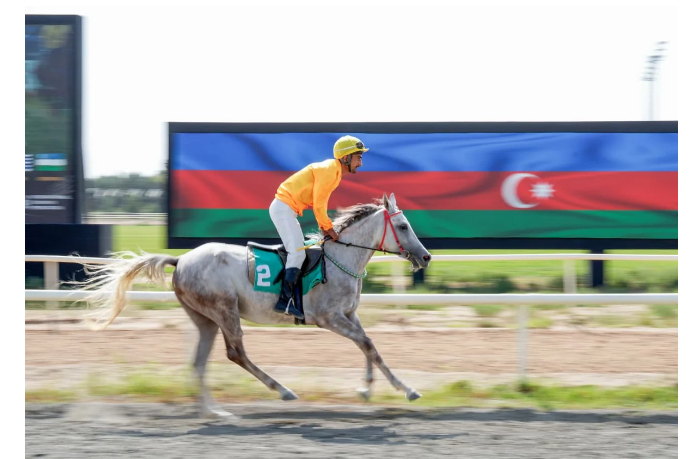 loshadi-karabakhskoy-i-dilbazskoy-porod-sorevnovalis-na-skachkakh-sezona-v-bina