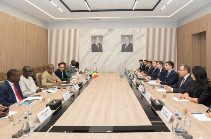 azerbaydzhan-i-senegal-obsudili-sotrudnichestvo-v-sfere-tsifrovogo-razvitiya-i-innovatsiy
