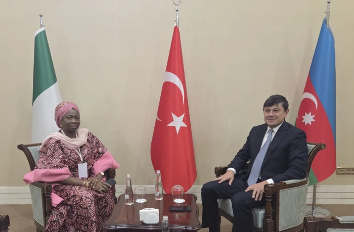 fuad-muradov-obsudil-s-pakistanskim-i-nigeriyskim-kollegami-diasporskie-voprosy