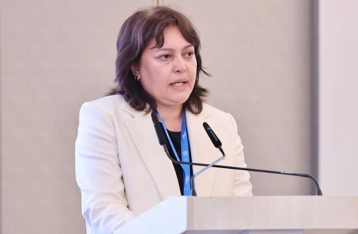 umayra-tagieva-azerbaydzhan-stalkivaetsya-s-klimaticheskimi-riskami