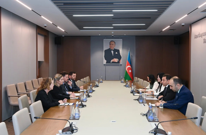 elnur-mamedov-i-devid-allen-obsudili-v-baku-realizatsiyu-tripp