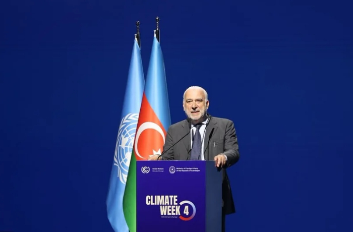 v-unfccc-prizvali-perevesti-klimaticheskie-dogovorennosti-baku-v-konkretnye-proekty